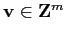 $ \v\in {\mathbf Z}^m$